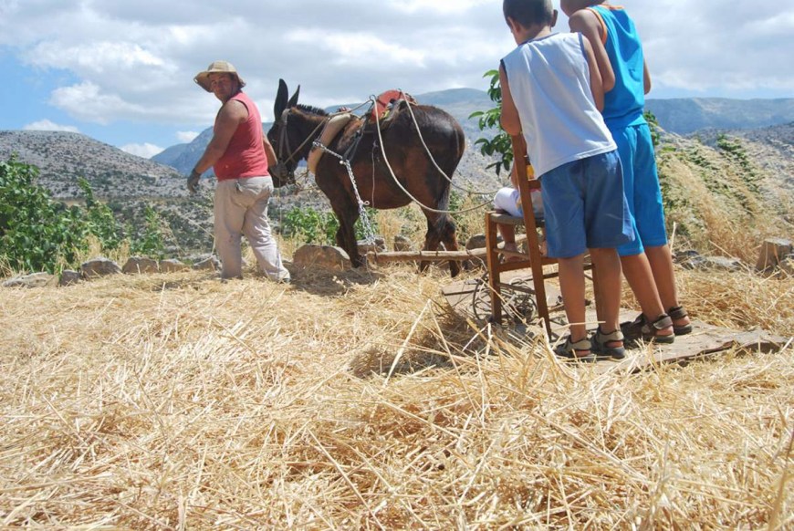 Threshing